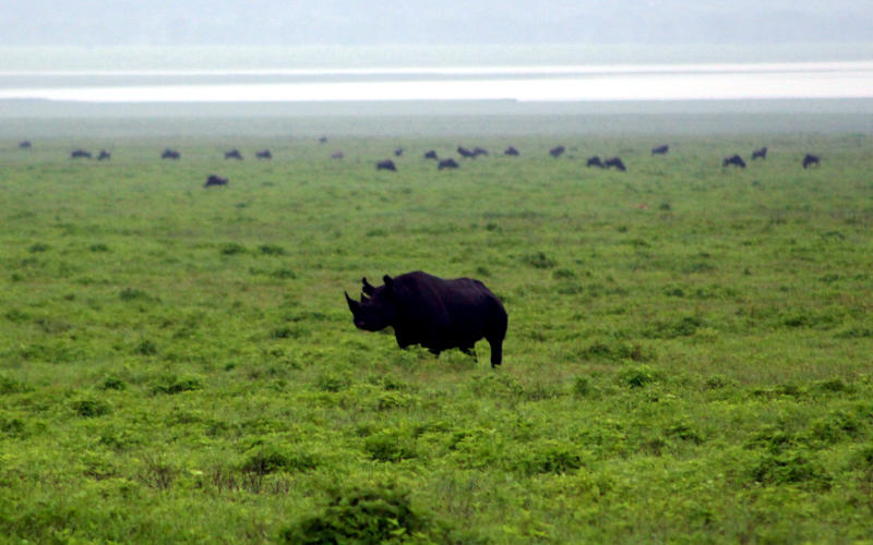 Ngorongoro Crater